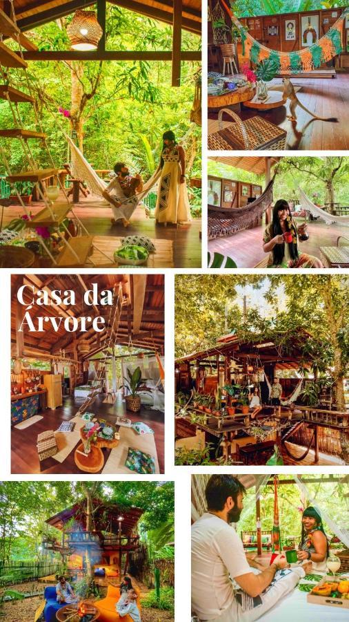 CASA DA ARVORE, sonho na Amazônia, 50m da praia Alter do Chão Extérieur photo